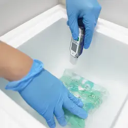 safe transportation gdp compliant​