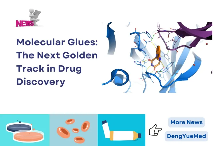 Molecular Glues: The Next Golden Track in Drug Discovery