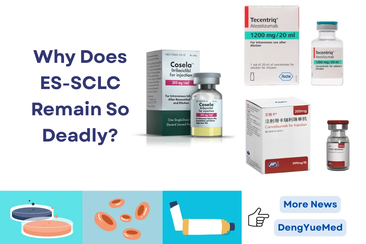 Why Does ES-SCLC Remain So Deadly? Why Does ES-SCLC Remain So Deadly?
