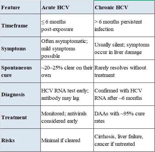 Is Chronic Hepatitis C Curable? Discover 6 Vital Facts 4 Acute vs. Chronic Hepatitis C
