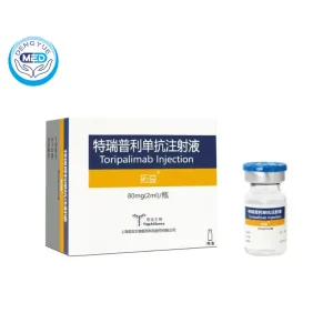 Tuoyi (Toripalimab) - Nasopharyngeal Carcinoma | HongKong DengYue Medicine 2 toripalimab injection