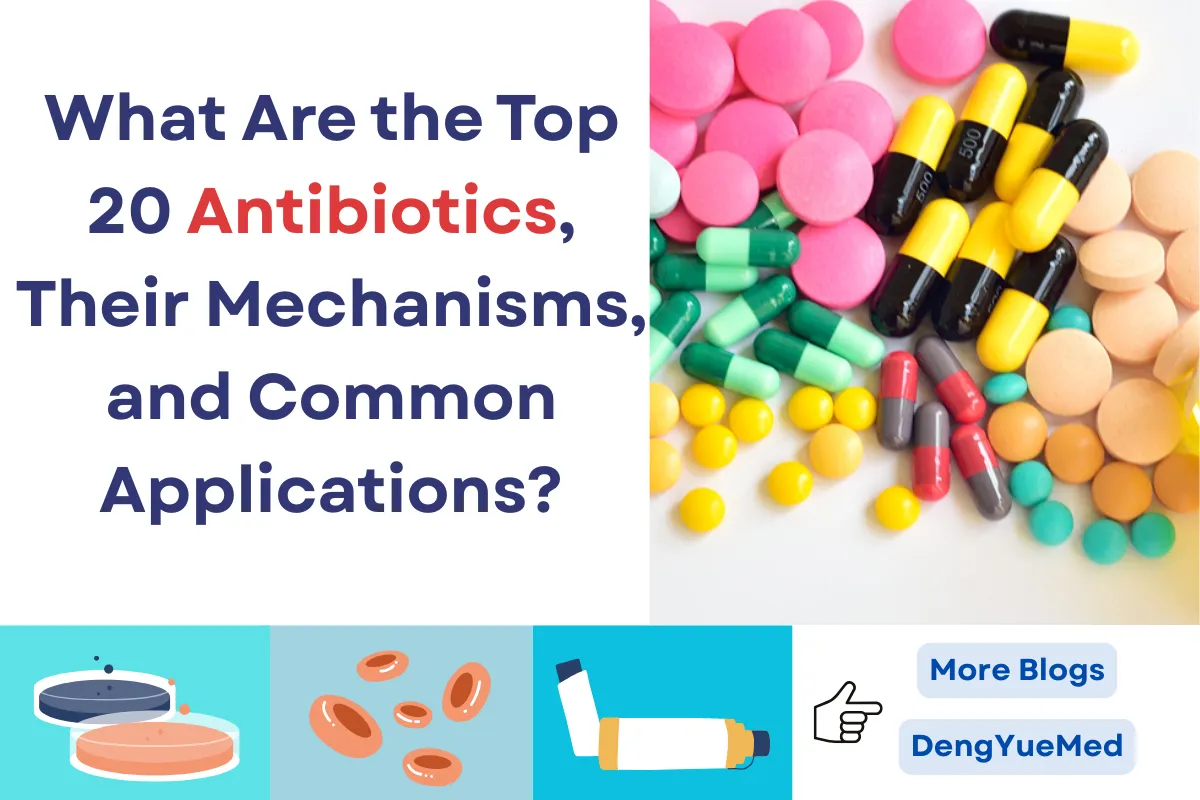 What Are the Top 20 Antibiotics, Their Mechanisms, and Common Applications?