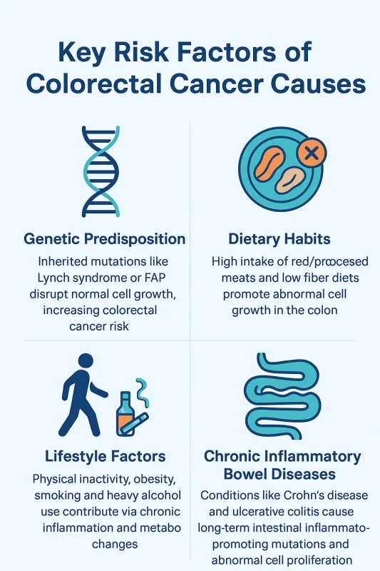 Colorectal Cancer Causes: 4 Key Risk Factors You Should Know 2 ChatGPT Image 2025年9月2日 14 21 27