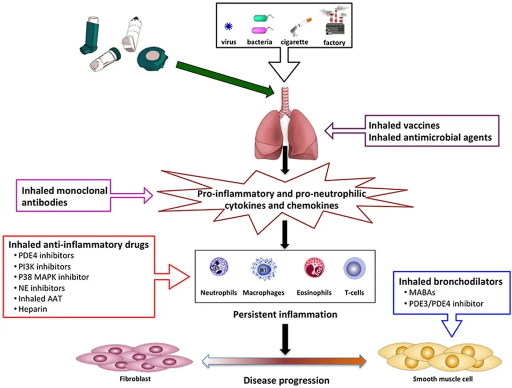future therapeutic targets and mechanisms in copd