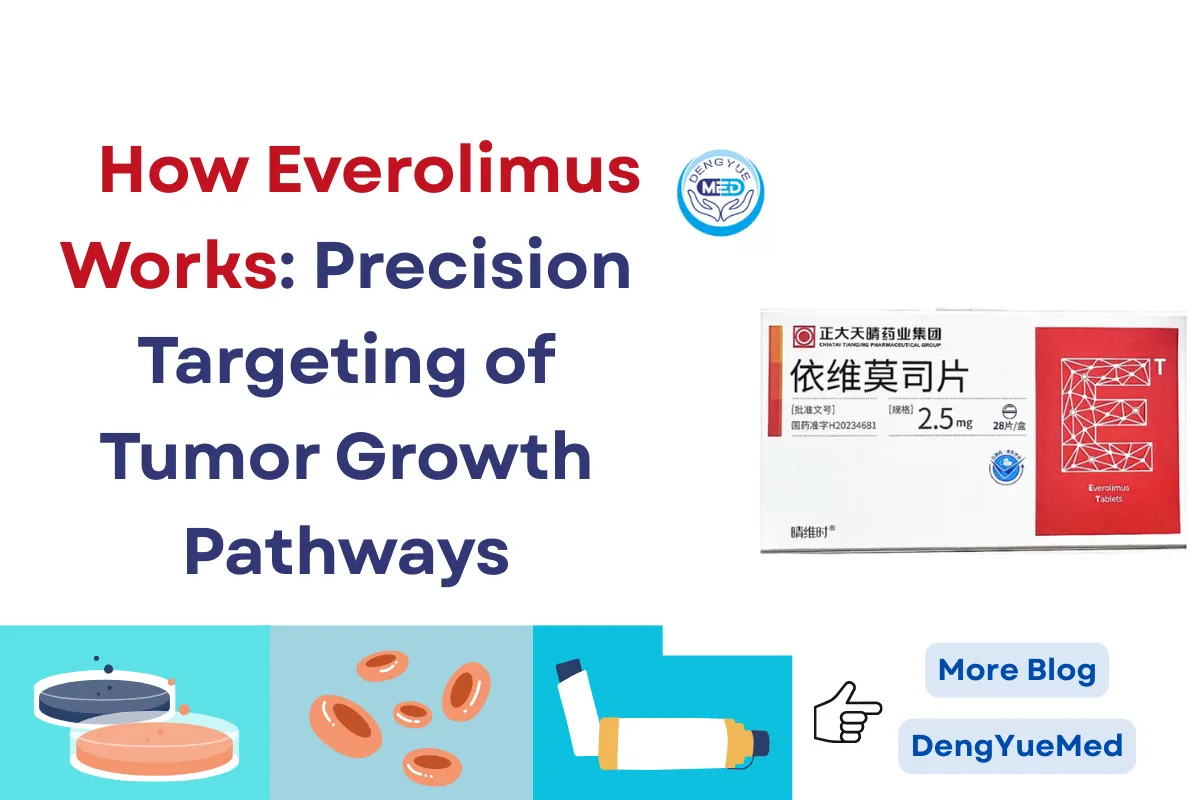 How Everolimus Works: Precision Targeting of Tumor Growth Pathways