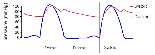 primary hypertension bp range