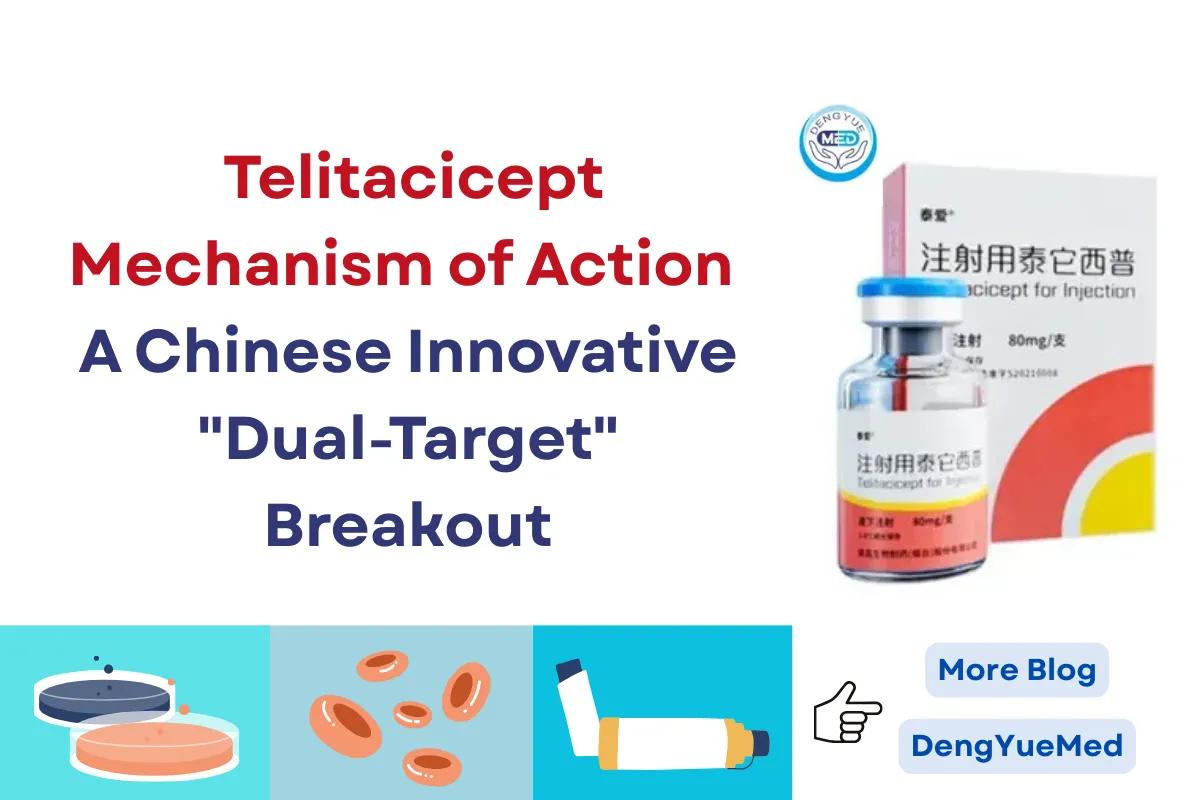 Telitacicept Mechanism of Action—A Chinese Innovative “Dual-Target” Breakout