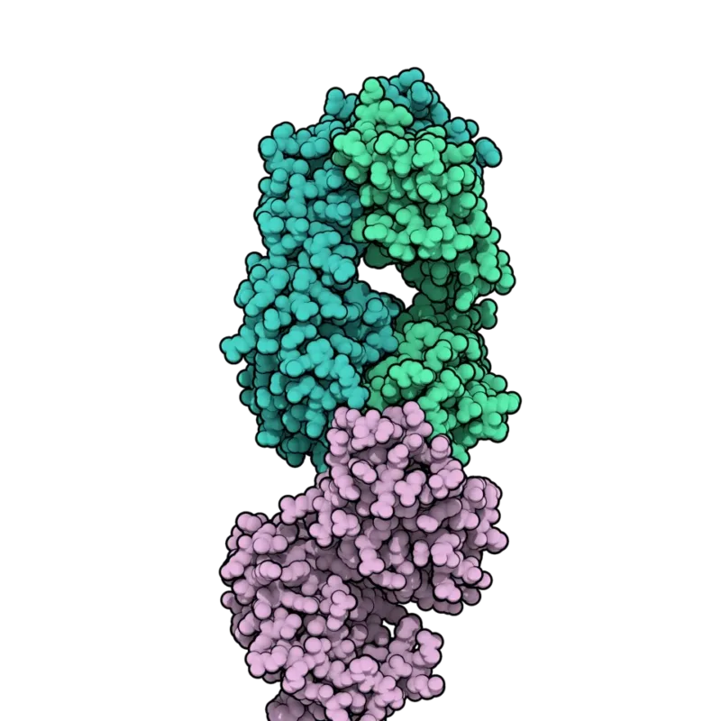 Darzalex Faspro or Darzalex: What’s the Difference Between Two Forms of Daratumumab 1 daratumumab targets CD38