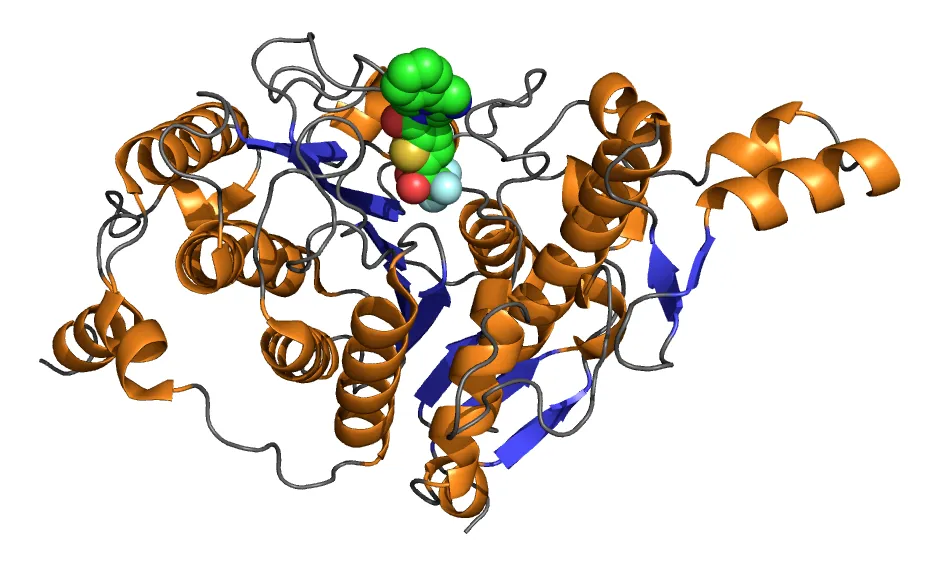 A Safer Approach to HDAC Inhibition: Chidamide (Epidaza) for Lymphoma and Breast Cancer 2 histone deacetylase (HDAC)