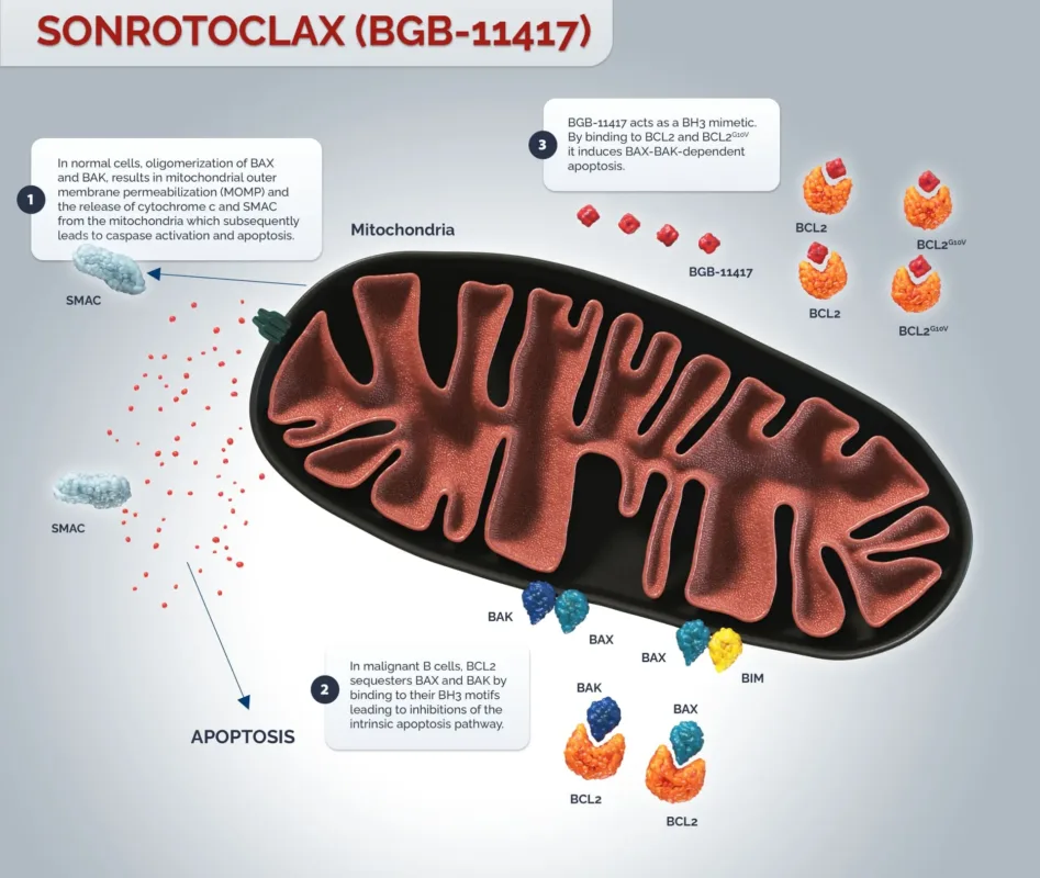 overview of the sonrotoclax bgb 11417 trial