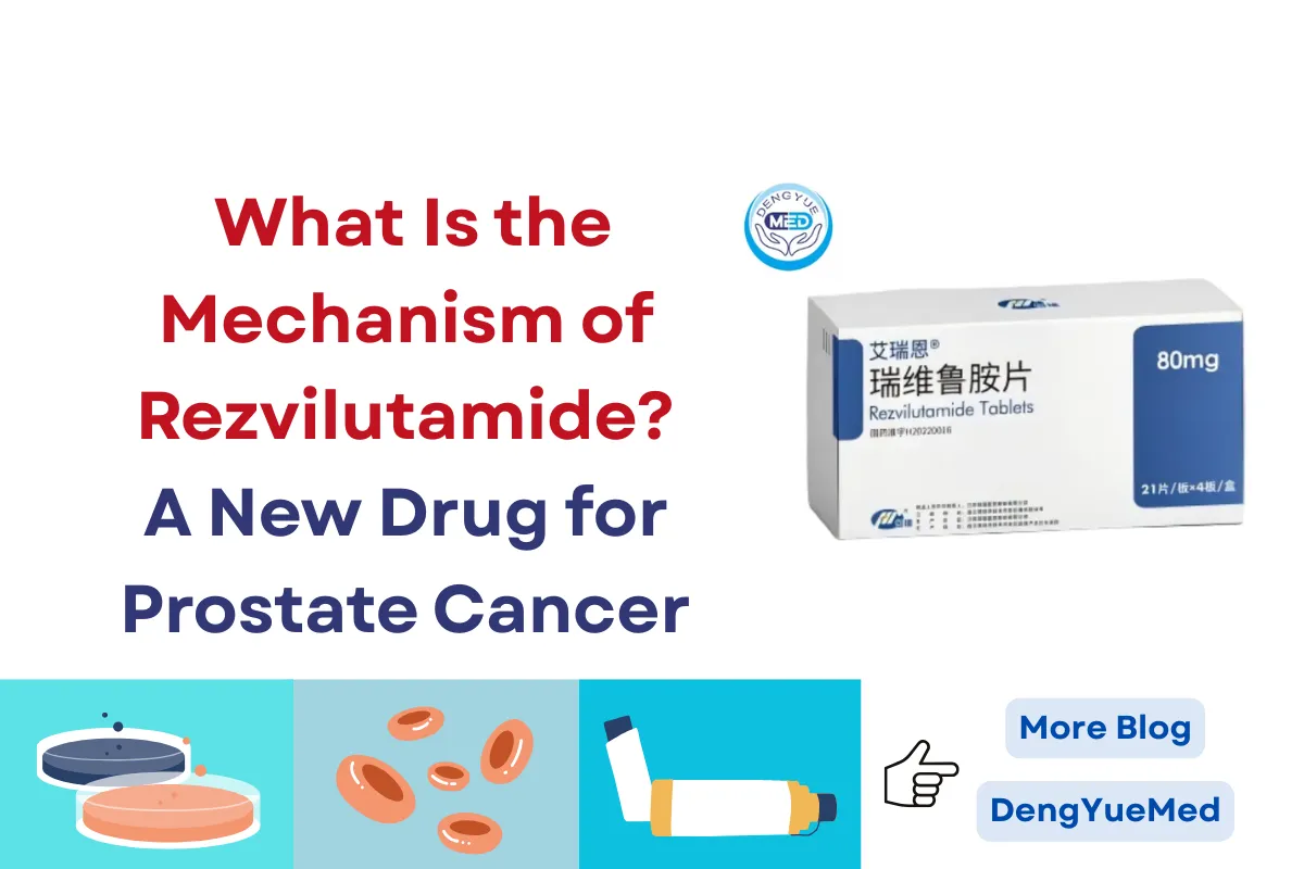 What Is the Mechanism of Rezvilutamide—A New Drug for Prostate Cancer