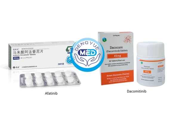 From First- to Third-Generation EGFR-targeted Drugs: How Can Patients Understand Differences in Efficacy and Adverse Effects? 4 second-generation EGFR-targeted drugs