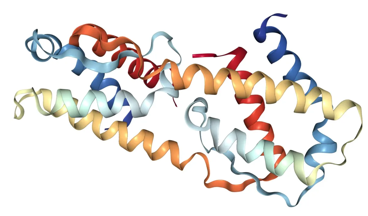 NMPA Approves GSK Depemokimab in China for Severe Eosinophilic Asthma with Twice-Yearly Dosing 2 interleukin 5 il 5