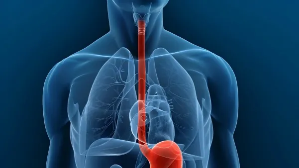 Which Cancers Does China Have Advantages In? Top 5 Areas of Strength Explained 3 china has accumulated globally leading experience in the diagnosis and treatment of esophageal cancer
