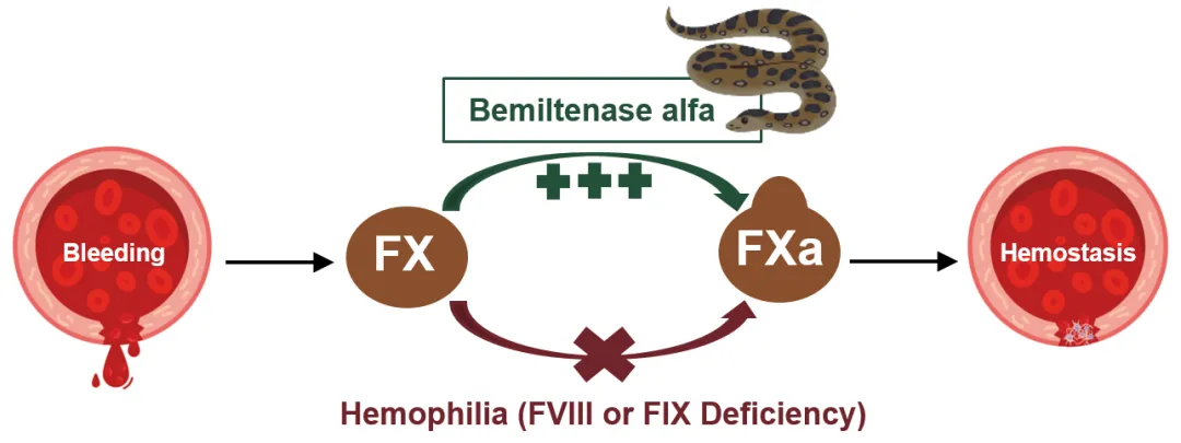 core mechanism of action of bemiltenase alfa
